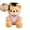 D, variant on Dvruxg Graduation Doctor Bear Stuffed Animal Teddy Bear in Doctor Uniform and Graduation Cap