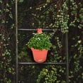 thumbnail image 4 of MasteelfCA Balcony Hanging Flower Bucket Creative Flowerpot Fence Plant Flower Pot, 4 of 9