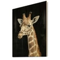thumbnail image 2 of Designart 'Close Up Portrait Of A Giraffe On Black III' Farmhouse Print on Natural Pine Wood, 2 of 5