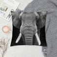 thumbnail image 2 of ONETECH Elephant Throw Pillow Cover African Wild Jungle Animal Pillow Case Pillowcase for Bedroom, Living Room, Cushion Sofa  Brown Black, 2 of 5