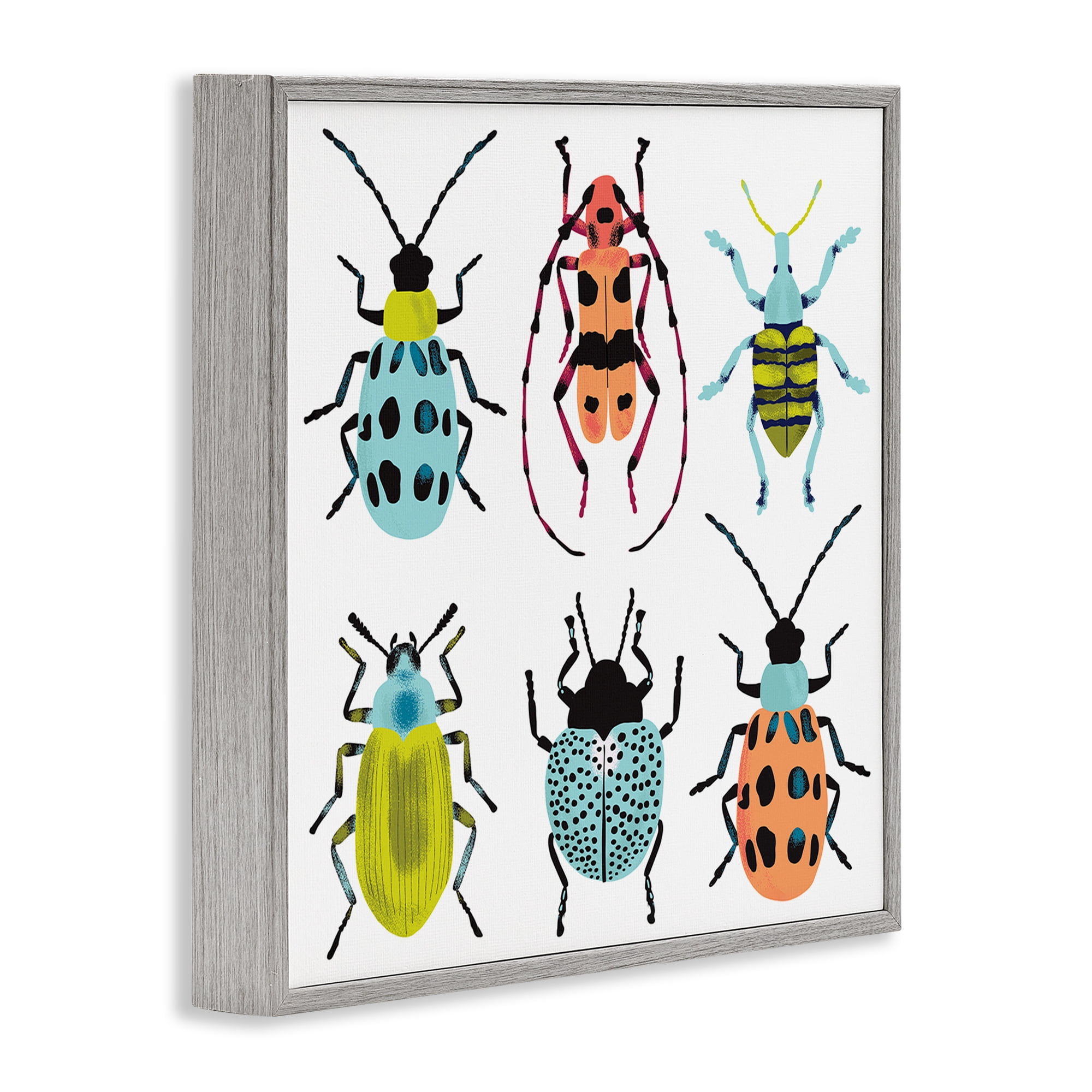 Stupell Industries Beetles & Bugs Collection Gray Framed Giclee Art, design by Metka Hiti