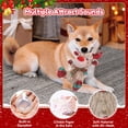 thumbnail image 3 of Juguete para perros Loncoldy Christmas Push Reindeer Chew, 3 of 7