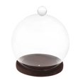 thumbnail image 1 of AMLESO Display Dome Valentine's Day Decoration Jewelry Display Glass Dome with Base dark brown base, 1 of 8