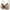 Gray, variant on Crunowin Women's Sexy Bra, Breathable Lingerie Push Up Wire Free Comfort Everyday Underwear Gray L