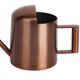 thumbnail image 1 of Aspersores de jardín de 300 ml Prácticas mini regaderas Herramientas de riego (Bronce) Ndcxsfigh Libre de BPA, 1 of 8