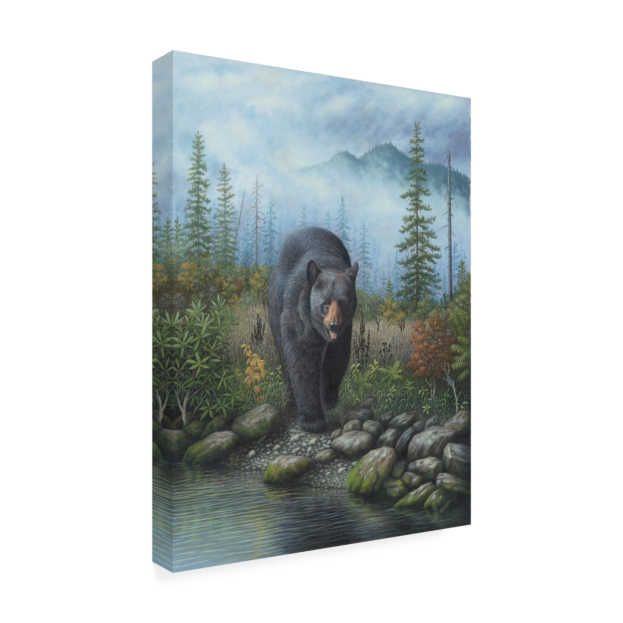 Robert Wavra 'Smoky Mountain Black Bear' Canvas Art