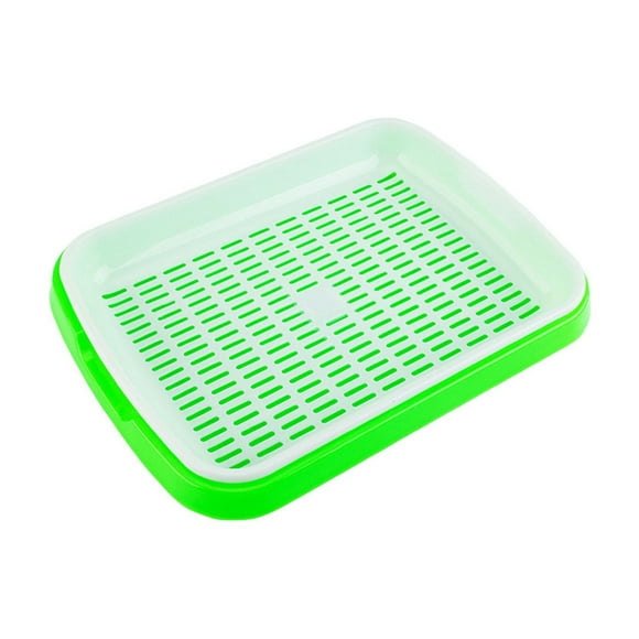 taicans 1Pcs Seed Sprouter Tray,Garden Seed Sprouter Tray BPA Free PP Soil-Free Healthy Wheatgrass Grower,Microgreens Growing Trays Nursery Tray Seed Germination Tray Wheatgrass Cat Grass Tray-Green