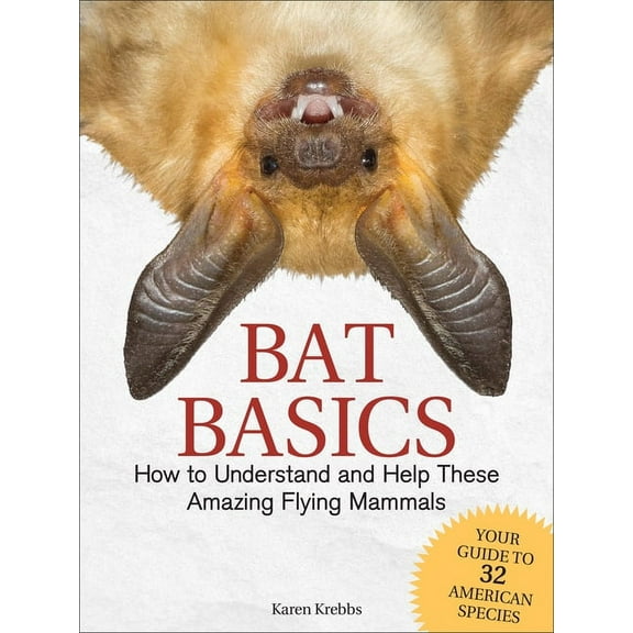 Bat Basics: How to Understand and Help These Amazing Flying Mammals, (Paperback)