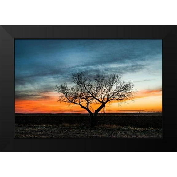 Highsmith, Carol 14x11 Black Modern Framed Museum Art Print Titled - Sunset Scene in rural Tom Green County-Texas