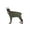 Green Camouflage, variant on BT Bear Large Dogs Clothes,Thickened Warm Dog Jumpsuit with Zipper D-ring,Dog Recovery Suit,Anti-Shedding Dog Pajamas Pjs,After Surgery Dog Onesie for Small Medium Large Dog Leopard L