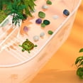thumbnail image 5 of Turtle tank with sun drying platform feeding tank for household use, 5 of 5