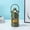 Green, variant on Insulated Stainless Steel Water Bottle with Straw, Vacuum Insulated Water Bottle, Sports Water Bottles Reusable, Leak Proof Water Bottle with Carry Handle for Gym Outdoor Travel, 304 Stainless 1500ML