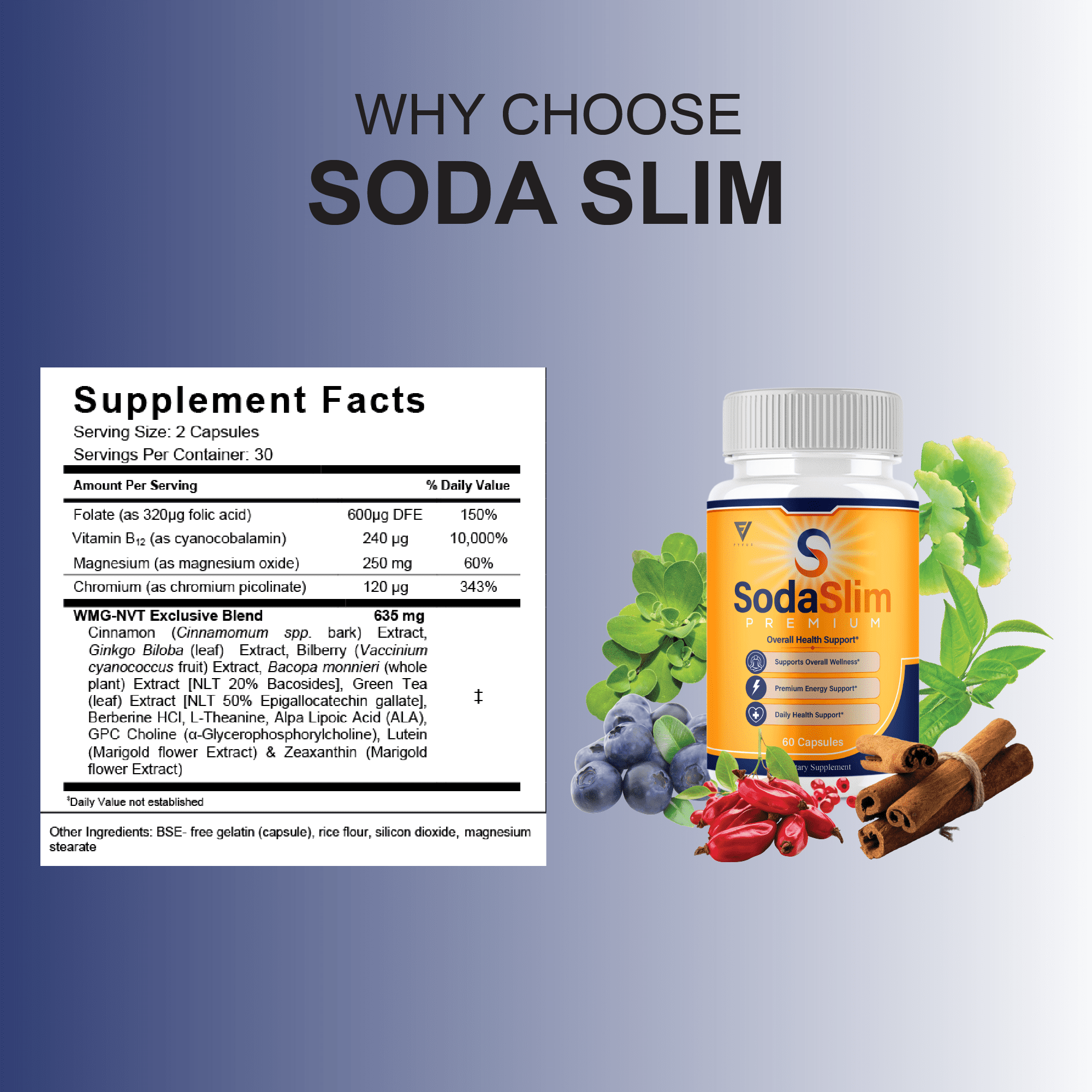 (5 Pack) Soda Slim Premium Supplement, SodaSlim Weight Support (300 Capsules)