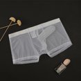 thumbnail image 1 of Sexy Shorts U Convex Pouch Boxer Men Swimming Trunks Underwear Transparent Ultra-thin See Through Boxer Briefs Mesh Panties XL Red|https://ae01.alicdn.com/kf/S17bb0d1b47f04ca3846e39c21d0b938cf.jpeg, 1 of 5