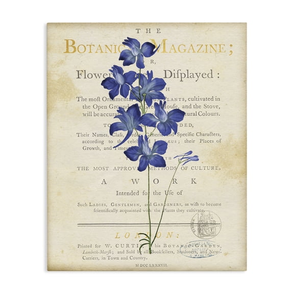 Stupell Industries Shabby Chic Natural Botanic Garden Flower Canvas Art, 16 x 20, by Susan Arnot