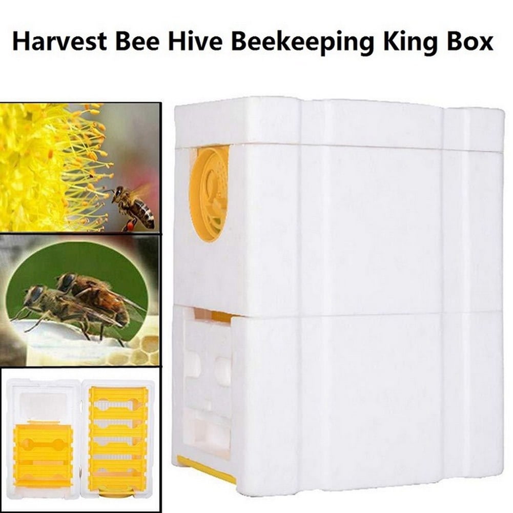 Auto Honey Beehive Frames Beekeeping Kit Bee King Box Pollination Box 