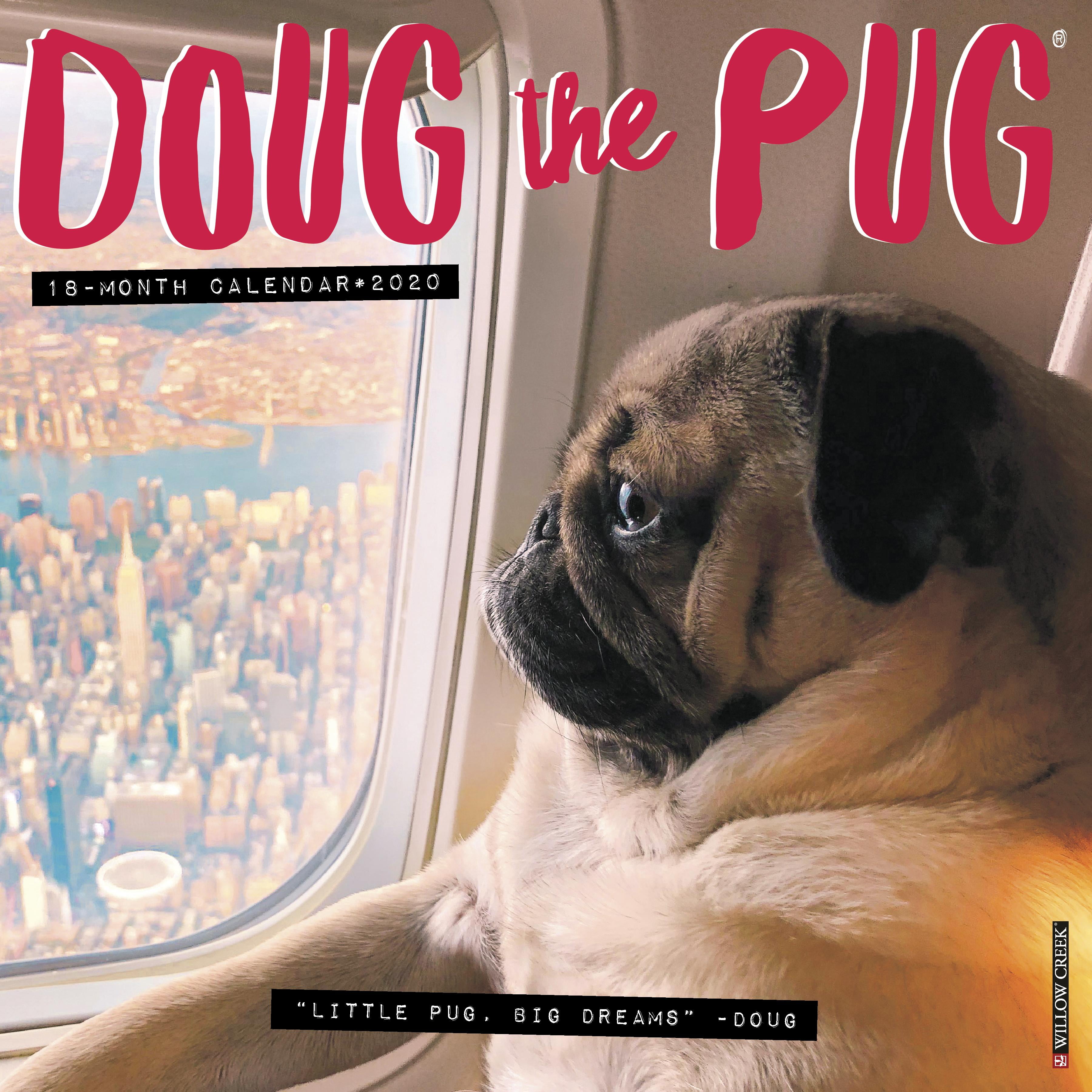doug-the-pug-2020-wall-calendar-dog-breed-calendar-other-walmart-com