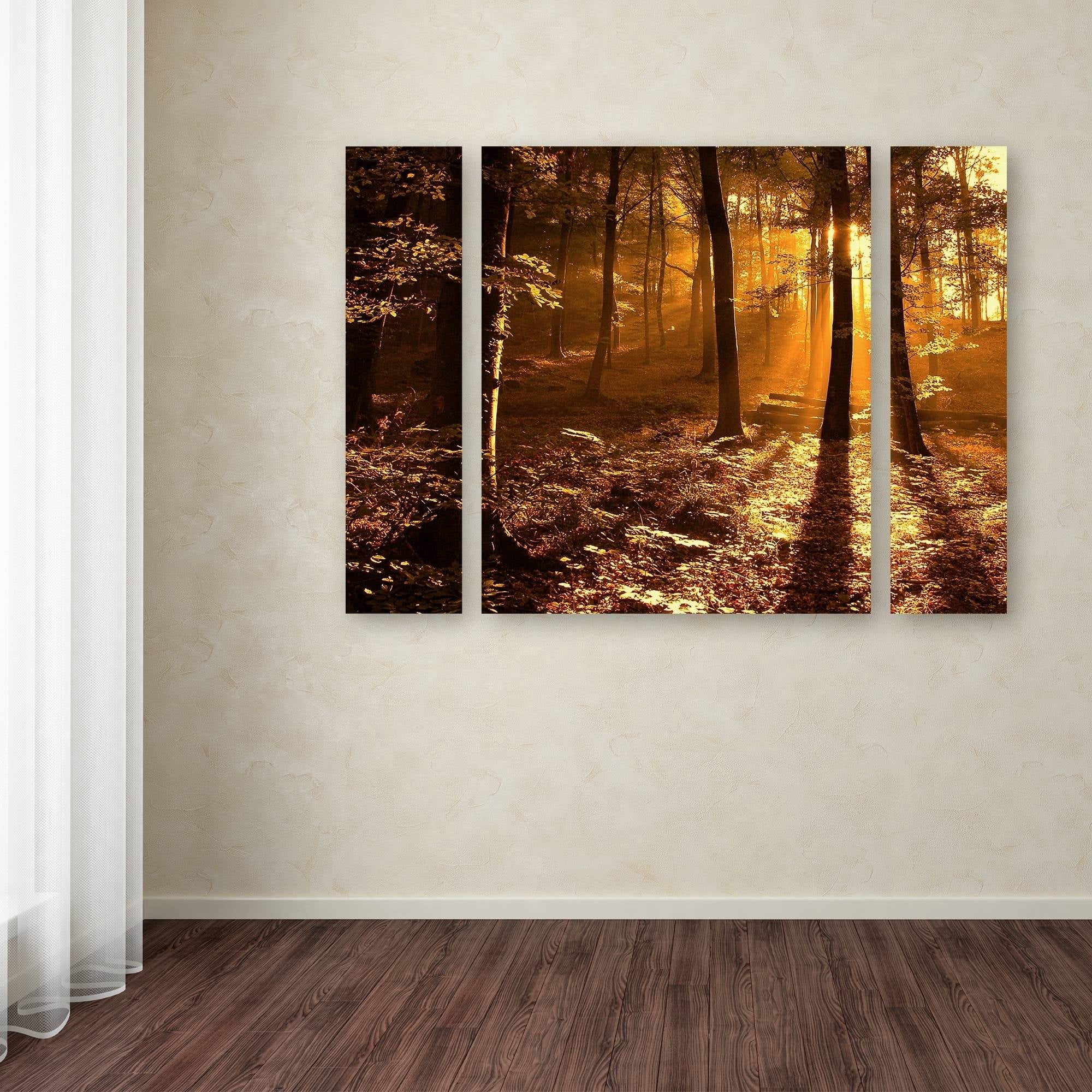 Trademark Fine Art "Morning Light" Canvas Art by Philippe Sainte-Laudy Three Panel Set