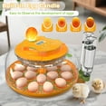 thumbnail image 5 of 18 Egg Incubator with Automatic Egg Turning and Humidity Control, Egg Candler, Auto Water Replenishment, 2 Size Egg Trays, Air Vent, for Hatching Chicken Duck Quail Goose Eggs, 5 of 8