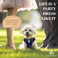 thumbnail image 4 of Traje formal de perro para uso diario con pajarita para mascotas pequeñas, 4 of 6