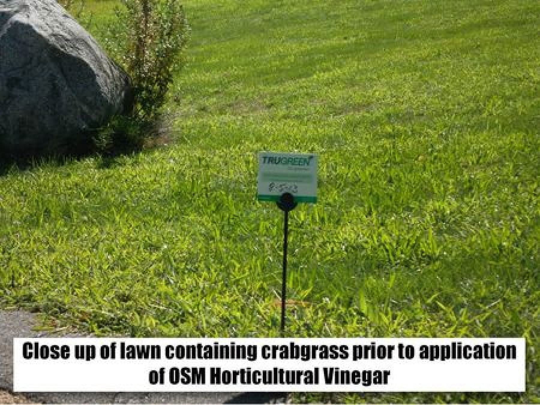 OSM Horticultural Vinegar,1 Gal. 81008201618-5