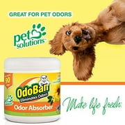 OdoBan Solid Odor Absorber Eliminator for Home and Small Spaces, Citrus Scent, 14 Ounces