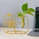 thumbnail image 5 of Maceta de cristal para plantas hidropónicas de interior, jarrón de escritorio para decoración de salón, maceta, maceta para cultivo de plantas, jarrón de cristal, jarrón de metal, jarrón de, 5 of 6