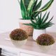 thumbnail image 4 of Milisten Maceta Con Planta Artificial Para De Interiores Y Oficinas, 4 of 6