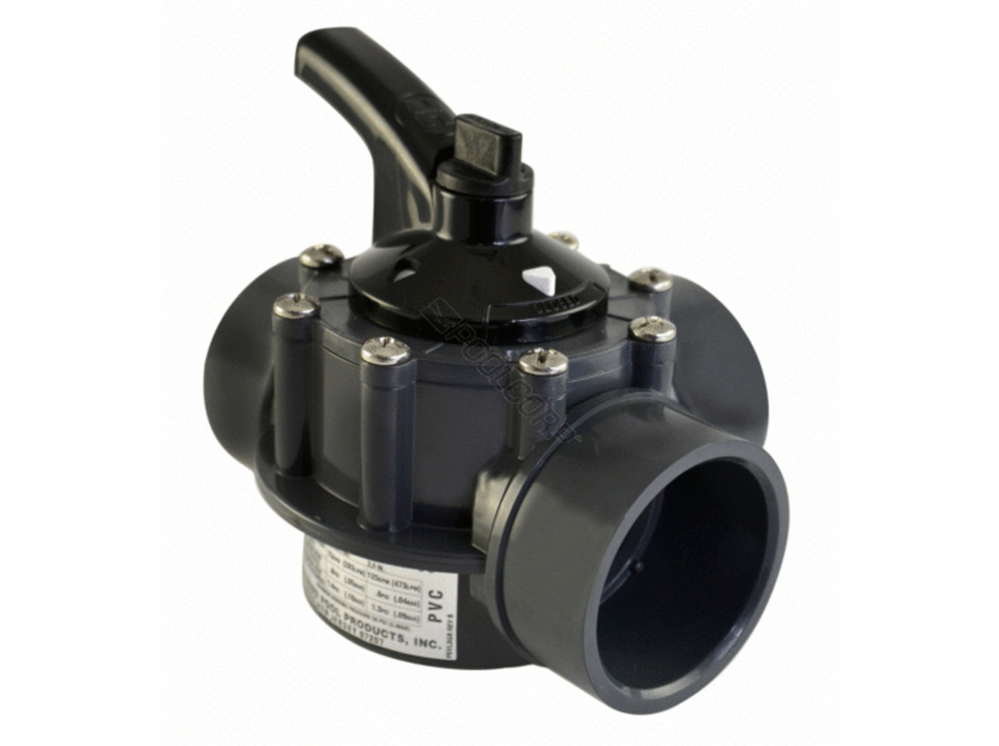 Pentair 263038 Pool 1.5