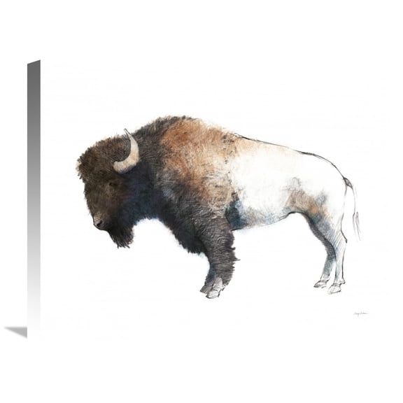Global Gallery Avery Tillmon 'Colorful Bison Dark Brown' Canvas Wall Art