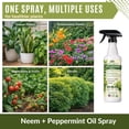 thumbnail image 5 of Neem & Peppermint Plant Spray for Garden, Vegetables & Indoor Plants – Botanical Leaf Care Mist, Supports Clean Healthy Leaves, Ready-to-Use Garden Spray for Fruits, Herbs & Houseplants, 5 of 7