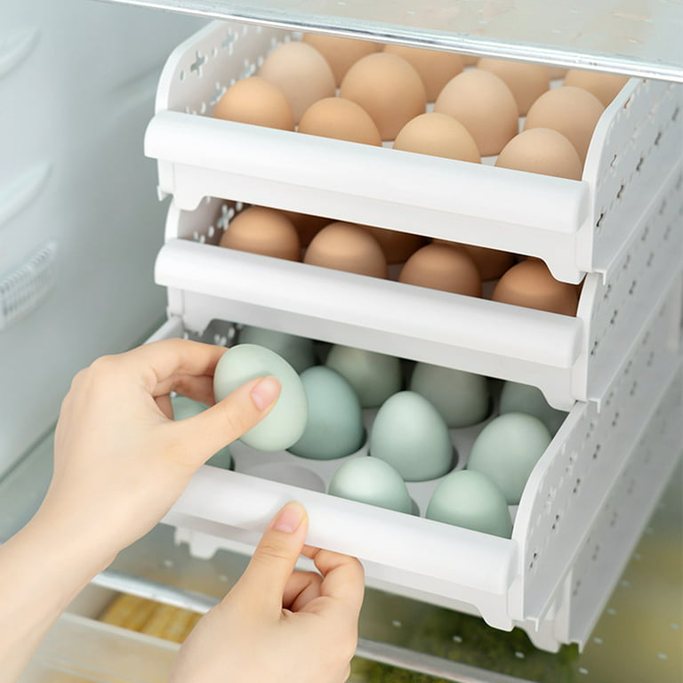 Cheers.US Egg Holder for Refrigerator, 20 Grids Auto Scrolling Fresh  Keeping Eggs Storage Container Case Refrigerator Egg Storage Box Holder For  Household Kitchen Tools 