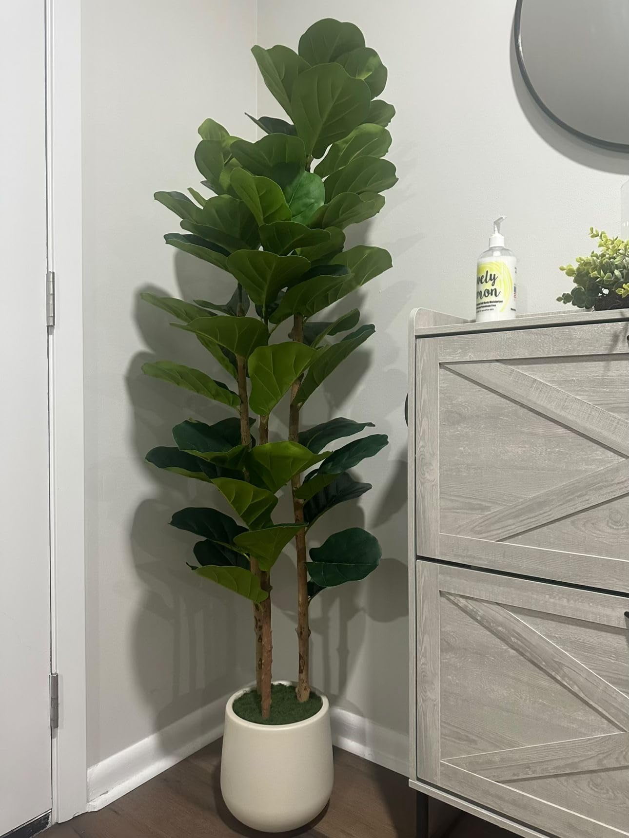 Gaderth Artificial Fiddle Leaf Fig Tree with White Planter, Fake Plant with Natural Wood Trunk, Faux Ficus Tree Potted Moss for Home Office Living Room Decor,5/6/7ft