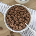 thumbnail image 3 of Annie's Organic Cocoa Bunnies Breakfast Cereal, 10 oz, 3 of 10