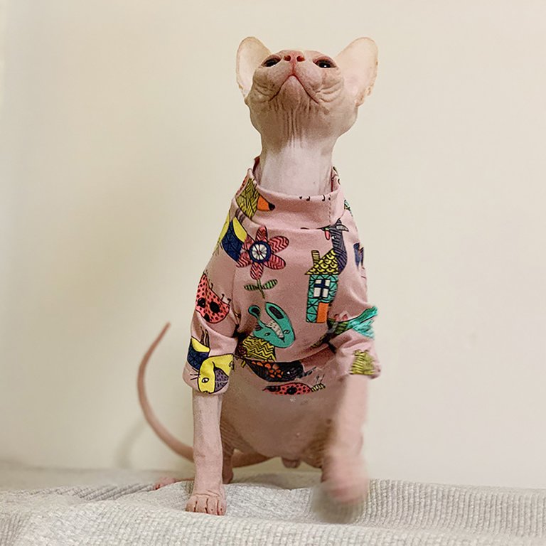 Summer Wear Clothes for Cats