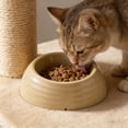 thumbnail image 2 of Bcylexb Solid Color Cat Bowls and Large-Diameter Dog Food Bowls, Anti-Tip, Easy-Clean, Neck-Support Pet Bowls for Puppies and Kittens, Brown, 2 of 6