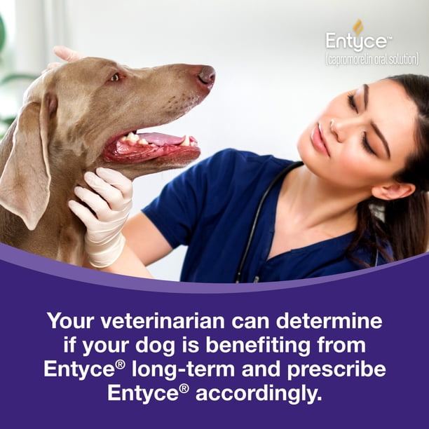 Entyce Dog Entyce Dog Appetite Stimulant | Oral Solution for Dogs