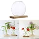thumbnail image 1 of Maceta de Vidrio Florero Moderno de Brotes de Flores con Soporte de Madera Terrario de Vidrio de Mesa para Propagar Plantas S BLESIY Jardinera Hidropónica, 1 of 8