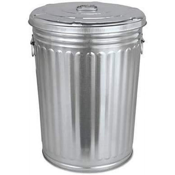 ANHXN Pre-Galvanized Trash Can with Lid, Round, Steel, 20gal, Gray,