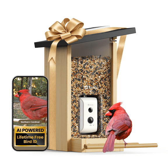 Birdfy Smart Bird Feeder with Camera, Solar Powerd Bird Feeder Camera, Birdfy Feeder Outdoor with AI Identify, Eco-friendly Wooden, Ideal Gift, Ebony