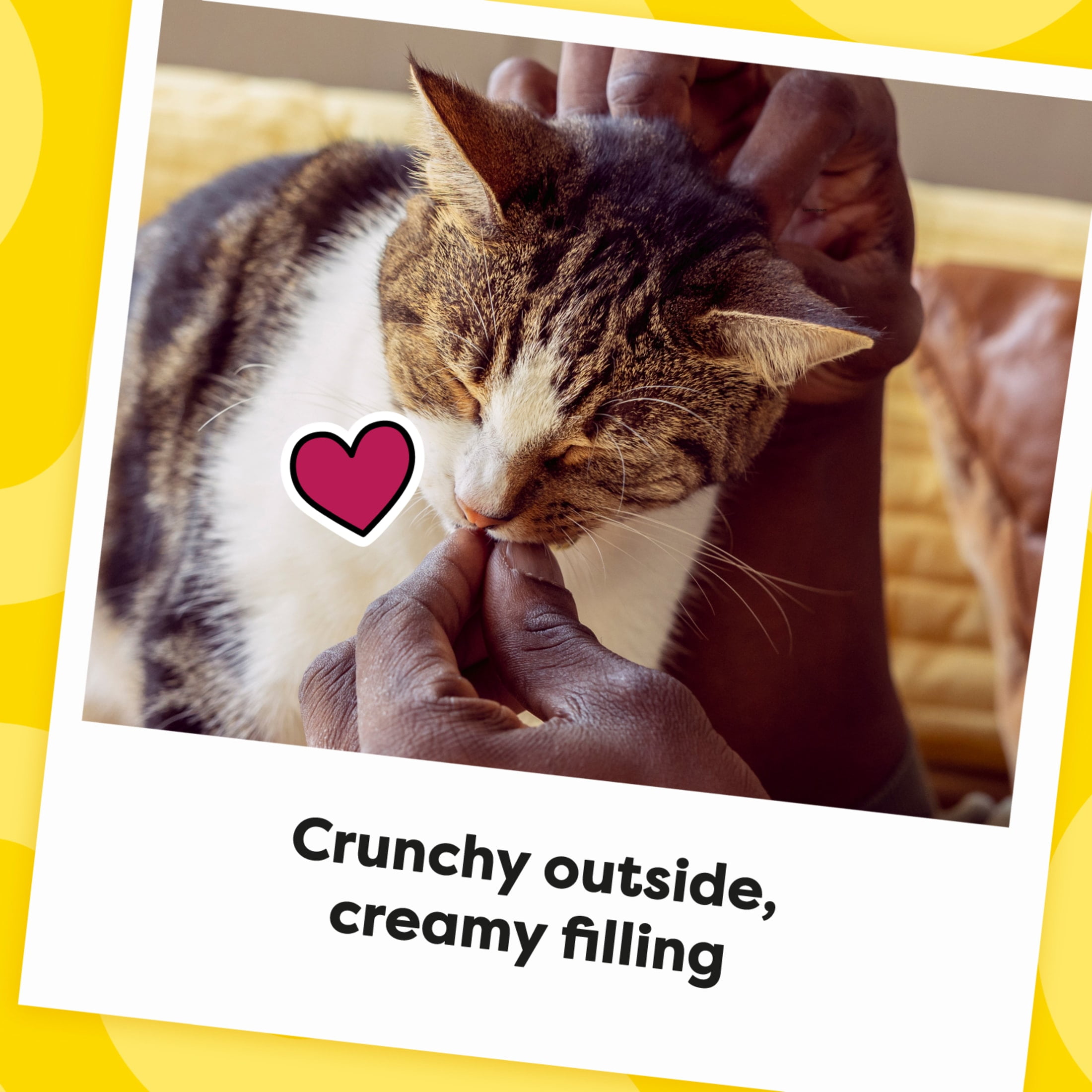 Temptations Tender Fills Roasted Chicken Flavor Crunchy And Soft Adult Treats For Cats, 4.6 Oz Pouch
