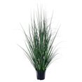 thumbnail image 1 of Planta en maceta Vickerman TN251536 Hierba de limón 91 cm Verde, 1 of 1