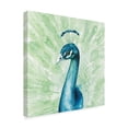 thumbnail image 2 of Trademark Fine Art 'Lucent Plume II' Canvas Art by Grace Popp, 2 of 4