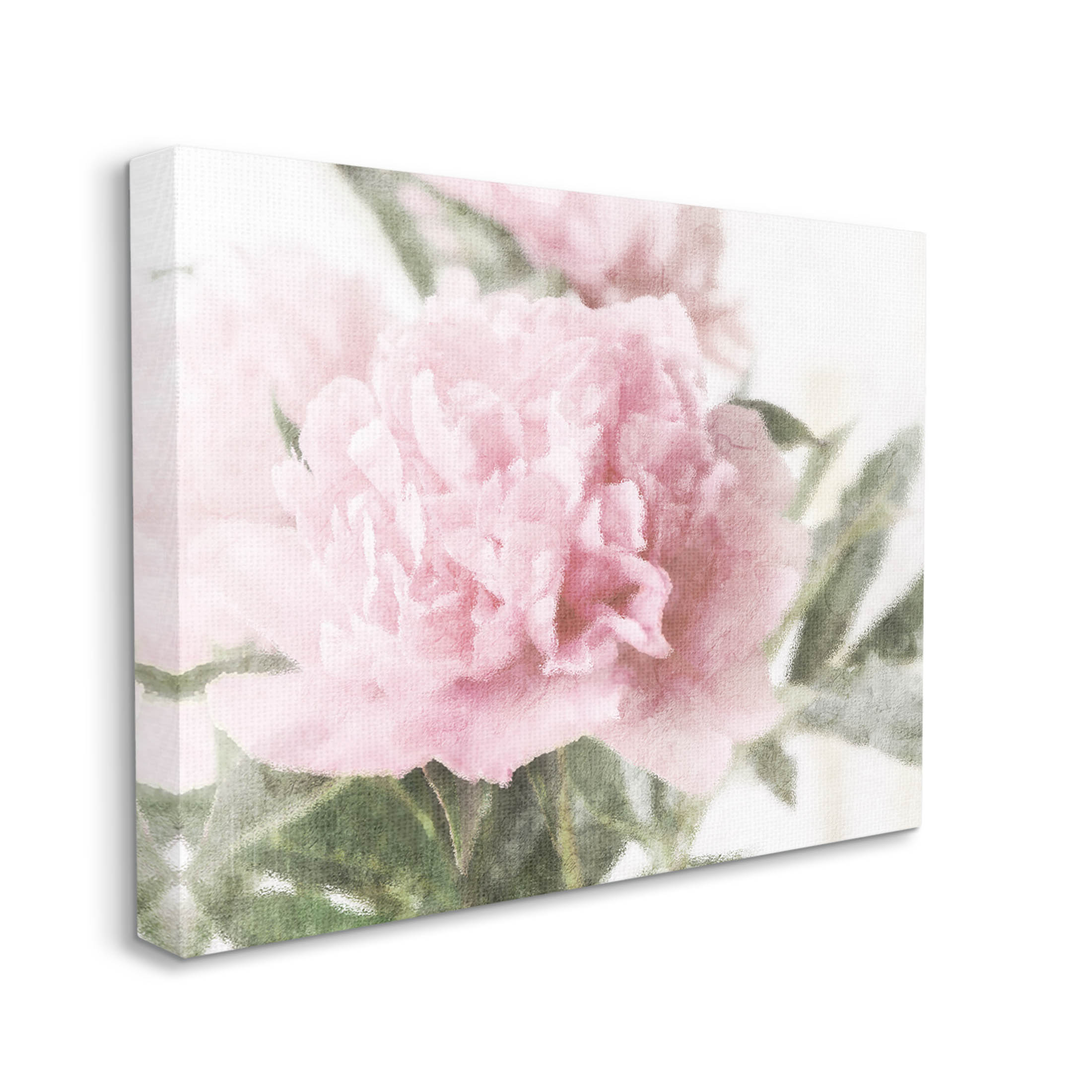 Soft Pink Carnation Blossom Botanical & Floral Graphic Art Gallery Wrapped Canvas Print Wall Art