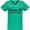 Kelly Green, variant on From Santa Fe New Mexico in Black Distressed Text Women's V-Neck T-Shirt