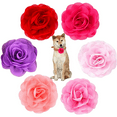 thumbnail image 5 of PET SHOW 6PCS Collar de Perro Lazos y Flores para Niñas Perros Pequeños Medianos Cachorros Rosa, 5 of 5