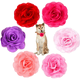 thumbnail image 5 of PET SHOW 6 piezas de lazos y flores para collar de perro para niñas, perros pequeños, medianos y cachorros, color rosa, 5 of 5