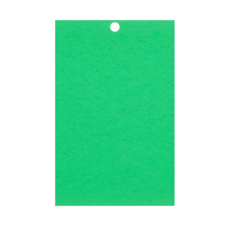 Feathered Green 4.5 x 7 Cardstock Paper by Recollections™, 100