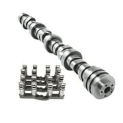 SUSUCAR For Dodge Ram 1500 5.7L Hemi Engine 2009-2019 MDS Lifters Hydraulic Roller Cam