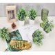 thumbnail image 4 of Plantas Artificiales, 6 Plantas Artificiales Decorativas en Macetas, Plantas Falsas en Maceta, Eucalipto Romero Mini Plantas de Imitación para Escritorio de Pared, Dormitorio Decoración, 4 of 4